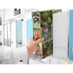 Herma Ordner 7202 Animals, Karton, A4, 7cm, Motiv Waldtiere -Leitz || Novus || Herlitz Shop 7119246b0eabb300290199128db2d72b623c44b7 ordner herma 7202 animals karton a4