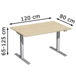 Geramöbel Schreibtisch Elektro Flex, Ahorn, Elektrisch Höhenverstellbar, 120 X 65-125 X 80cm -Leitz || Novus || Herlitz Shop 7b33cf8ae47f06246a5466e3ddda1b22b238b8d7 schreibtisch geramoebel elektro flex ahorn