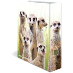Herma Ordner 19955 Exotische Tiere, Karton, A4, 7cm, Motiv Erdmännchentruppe -Leitz || Novus || Herlitz Shop 8b5b9c7095b53cdee72caf06c711c9e9776b1f35 ordner herma 19955 exotische tiere karton a4