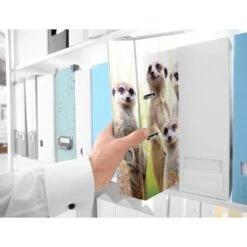 Herma Ordner 19955 Exotische Tiere, Karton, A4, 7cm, Motiv Erdmännchentruppe -Leitz || Novus || Herlitz Shop 91bbb91ca1d041674298e812bdb4e1e349729dc7 ordner herma 19955 exotische tiere karton a4