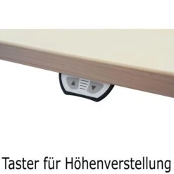 Geramöbel Schreibtisch Elektro Flex, Ahorn, Elektrisch Höhenverstellbar, 180 X 100cm, Freiform -Leitz || Novus || Herlitz Shop 9b768b60dcc09942e02c2149b82c6c72221a95ff schreibtisch geramoebel elektro flex ahorn
