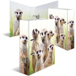 Herma Ordner 19955 Exotische Tiere, Karton, A4, 7cm, Motiv Erdmännchentruppe -Leitz || Novus || Herlitz Shop d34ac557fe949c21e88a2348e1817faef87b5576 ordner herma 19955 exotische tiere karton a4